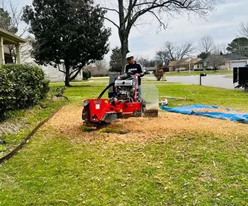 Stump Grinding and Removal